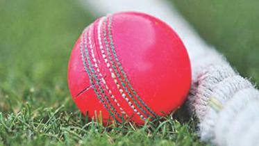 pink ball.jpg