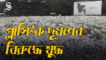 Plastic Pollution Final 2.jpg