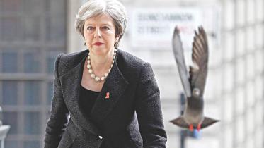 pm may.jpg