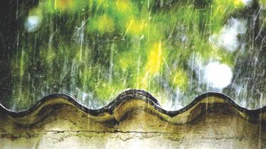 rain
