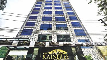 raintree.jpg