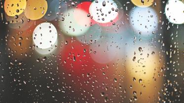 Rainy day musing