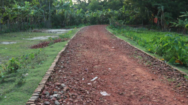 road.jpg
