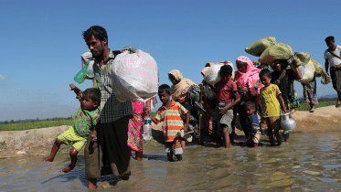 rohingya refugees