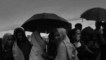 Rohingya