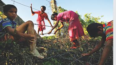 Rohingya