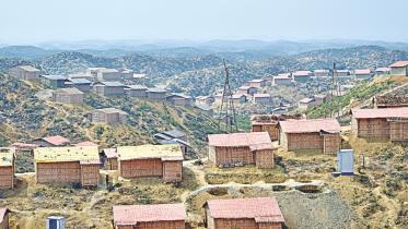 rohingya