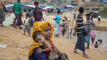 rohingya