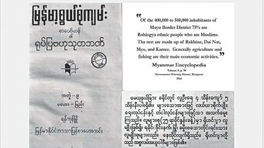 Rohingya Genocide