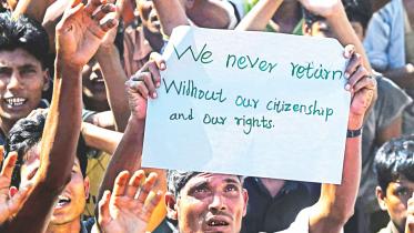 rohingya repatriation cancelled 1.jpg