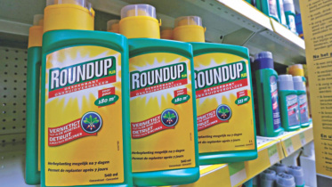 roundup.jpg