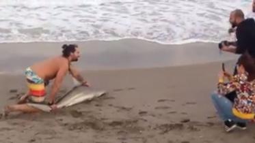 shark-web.jpg