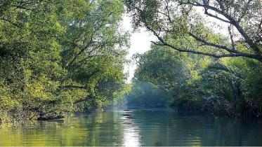 shela river new.jpg