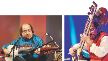 sitar.jpg
