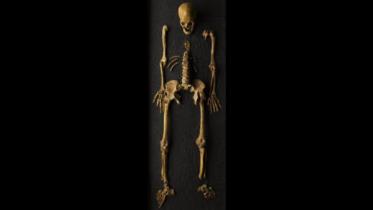 skeleton.jpg