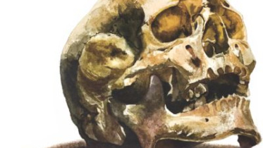 skull.jpg