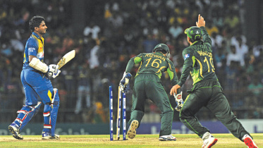 sl pak.jpg
