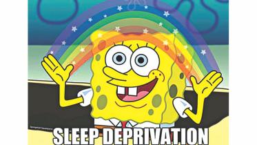 sleep.jpg