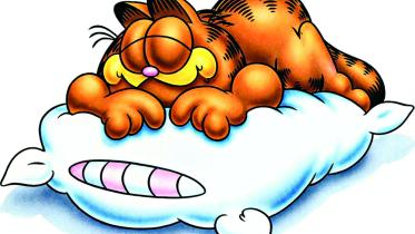 sleeping.jpg