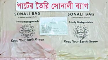 Sonali bag