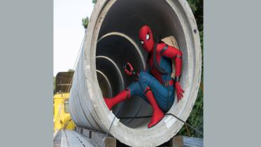Spider.jpg