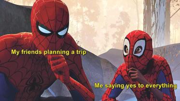 spider.jpg