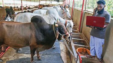 Sylhet-online-qurbanir-Haat.jpg