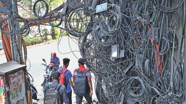 tangled_web.jpg