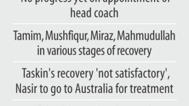 tigers injury.jpg
