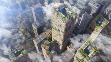 Timber Tower.JPG