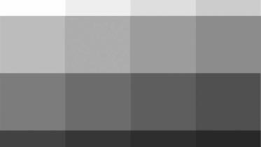 To all the Grays
