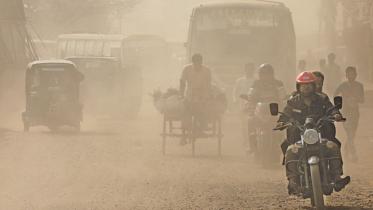Environmental Pollution Causes death