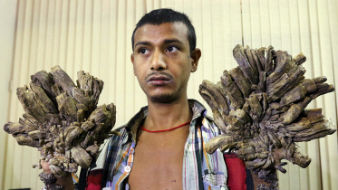 tree-man-web-1.jpg