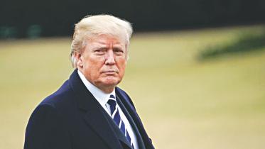 trump shape.jpg