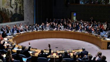 UN Security Council