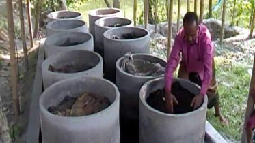 vermicompost.jpg