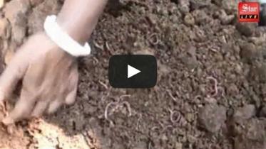 vermicost-fertiliser.jpg