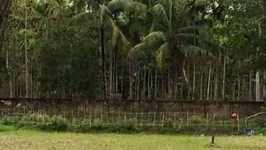villa.jpg