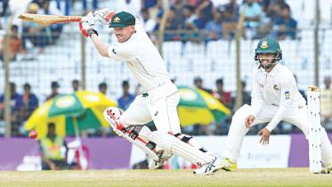 warner 1.jpg