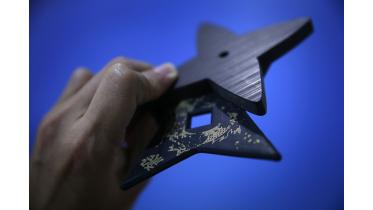 Way_of_the_ninja_46413804.jpg