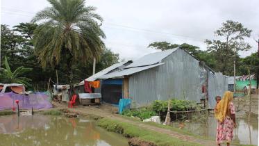 WDB-land-encroaching.jpg