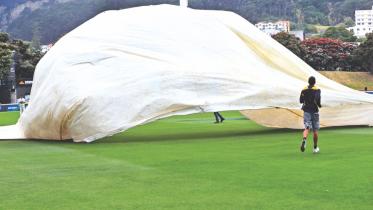wellington test.jpg