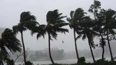 Cyclonic Bulbul