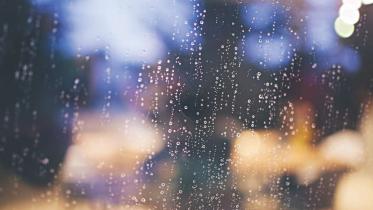Wild darkness of rain