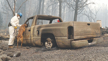 wildfire.jpg