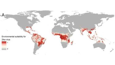 zika.jpg