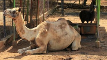 zoo1.JPG