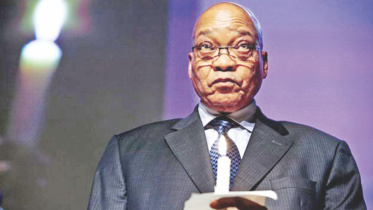 zuma.jpg