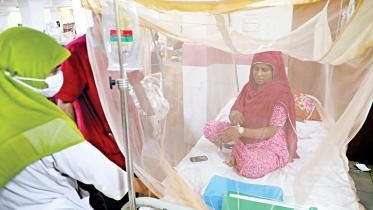 dengue.jpg