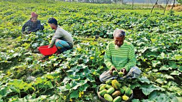 agriculture.jpg